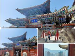 -白塔山公园