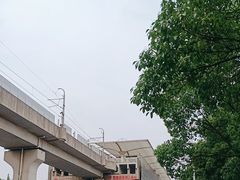 -外高桥保税区南(地铁站)