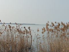 -阳澄湖半岛旅游度假区