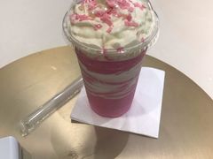 -飞行喵MR PILOT|猫舍·猫咖(静安大融城店)