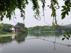 -西湖外事游船(花港观鱼码头)