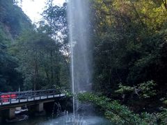 -九龙江国家森林公园