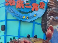-海合安武汉极地海洋公园