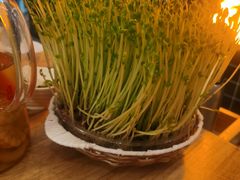 -好彩猪肚鸡(正弘城店)