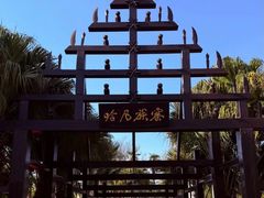 -云南民族村