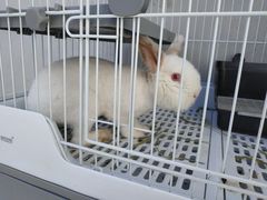 -小意思咖啡店(草桥店)