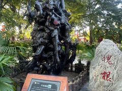 -大槐树寻根祭祖园