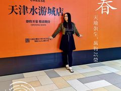 -鹏欣水游城