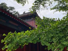 -承恩寺