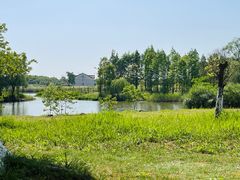 -贡湖湾湿地公园