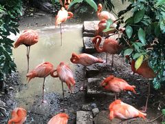 -长鹿旅游休博园