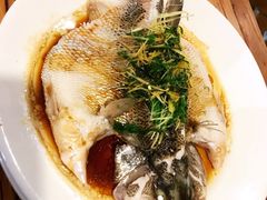 清蒸鲈鱼-YAFEE雅菲·粤菜·湘菜·融合菜(魏公村店)