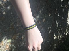 龙坑生态保护区-龙坑生态保护区