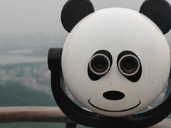 -紫金山山顶公园