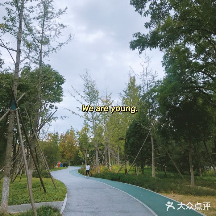 回龙观体育文化公园-图片-北京景点/周边游-大众点评网