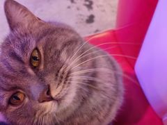 -VIKING SALOON西部美式烟熏烤肉(和平路店)