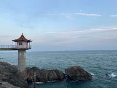 -小麦岛公园