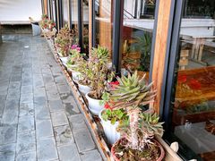 -乡村小榭饭店