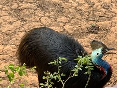 -昆明动物园