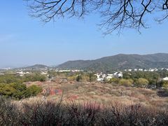 -香雪海