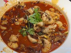 -永安水煮活鱼·仪征菜(仪征奥林匹克店)