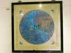 -上海昆虫博物馆