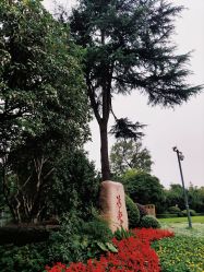 -华东饭店·园林式婚礼宴会厅酒店