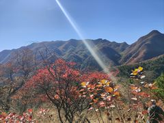 -水峪民俗村