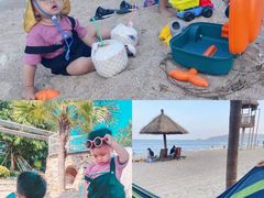 -广东惠东海龟国家级自然保护区