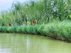 -南翠屏公园