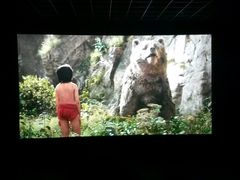 -华联影城(蒙城路店)