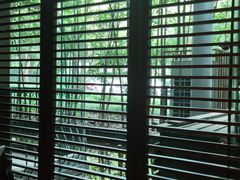 -东方明珠老上海8号餐厅(东方明珠广播电视塔店)