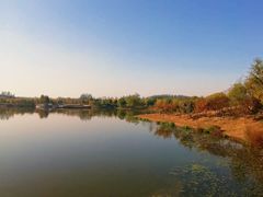 -东郊湿地公园