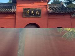 -洛阳白马寺