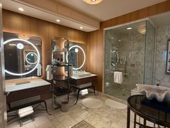 -拉斯维加斯永利酒店