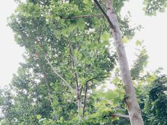 -重庆彩云湖湿地公园