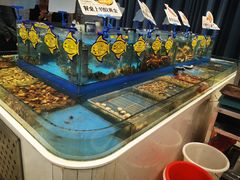 -海铺·渔家虾水饺(皇姑店)