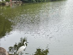 -珠海圆明新园