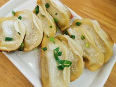 鲜肉锅贴-小姜锅贴(凤凰街店)