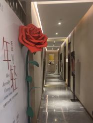-香榭丽舍·海菲秀·皮肤管理痘敏肌修护