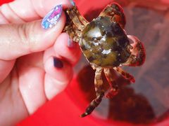 -东戴河风景区-止锚湾