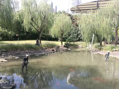 -苏州河梦清园环保主题公园