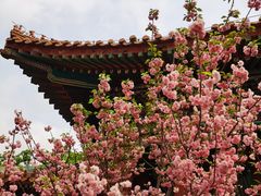 -珠海圆明新园