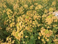 -中国天府农业博览园