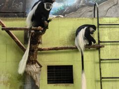 -石家庄市动物园