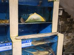 -鹰龙海畔度假酒店(咸祥店)