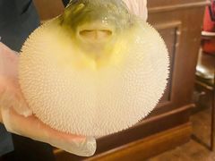 -肆月河豚·新淮扬(金融街店)