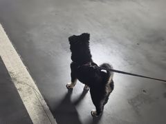 -联合动物医院(光谷诊疗中心)