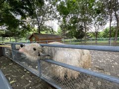 -长白岛森林公园