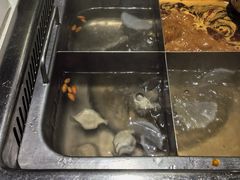-海底捞火锅(高科广场店)